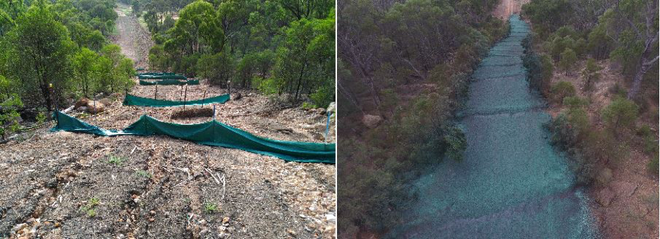 rehabilitation of a pipeline corridor in central Queensland